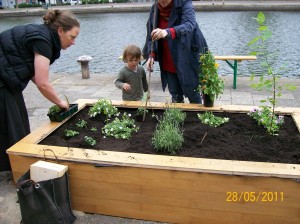 atelier-110628-bloembak-planten