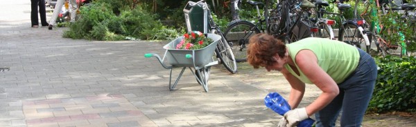 plantsoenen-1101-molenzicht