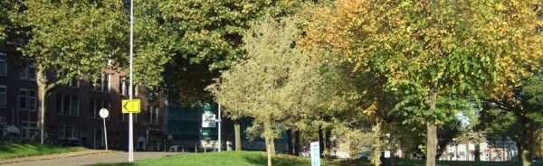 speelplek mbrug-131024-grasveld